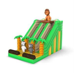 Διπλή φουσκωτή διαφάνεια με...