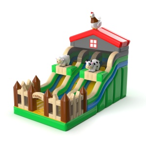 Χρησιμοποιημένη διπλή...